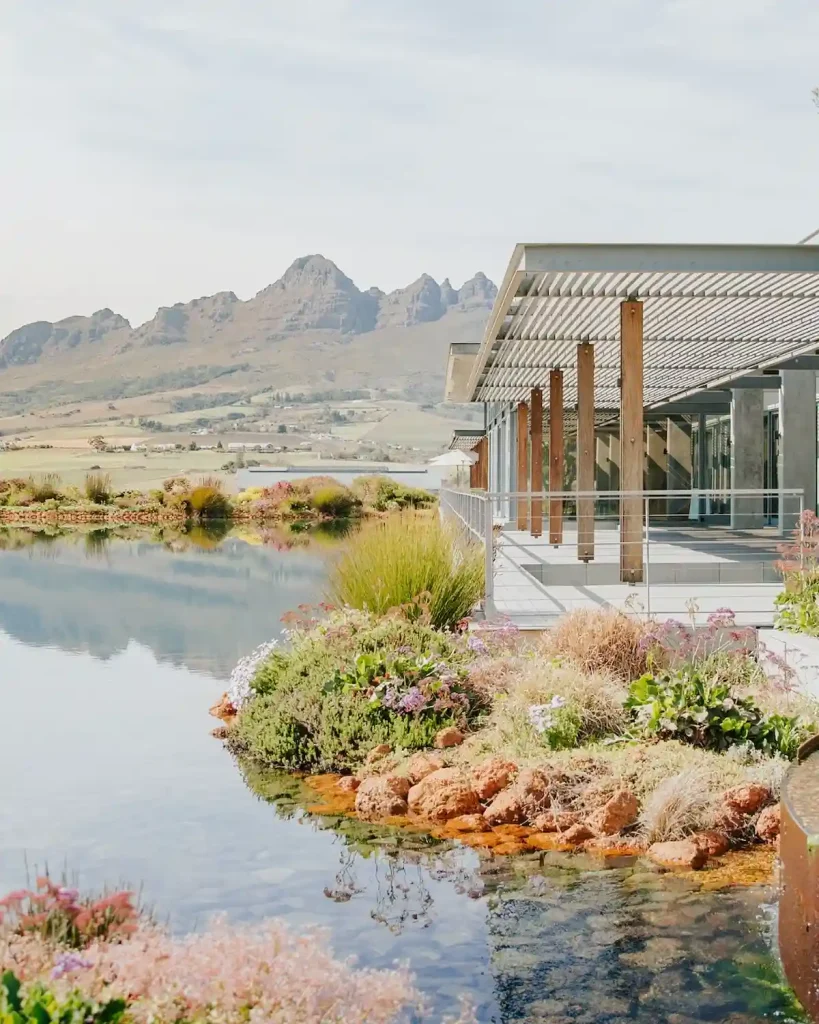 Cavalli Wine Esates - Cape Town Top Wineries