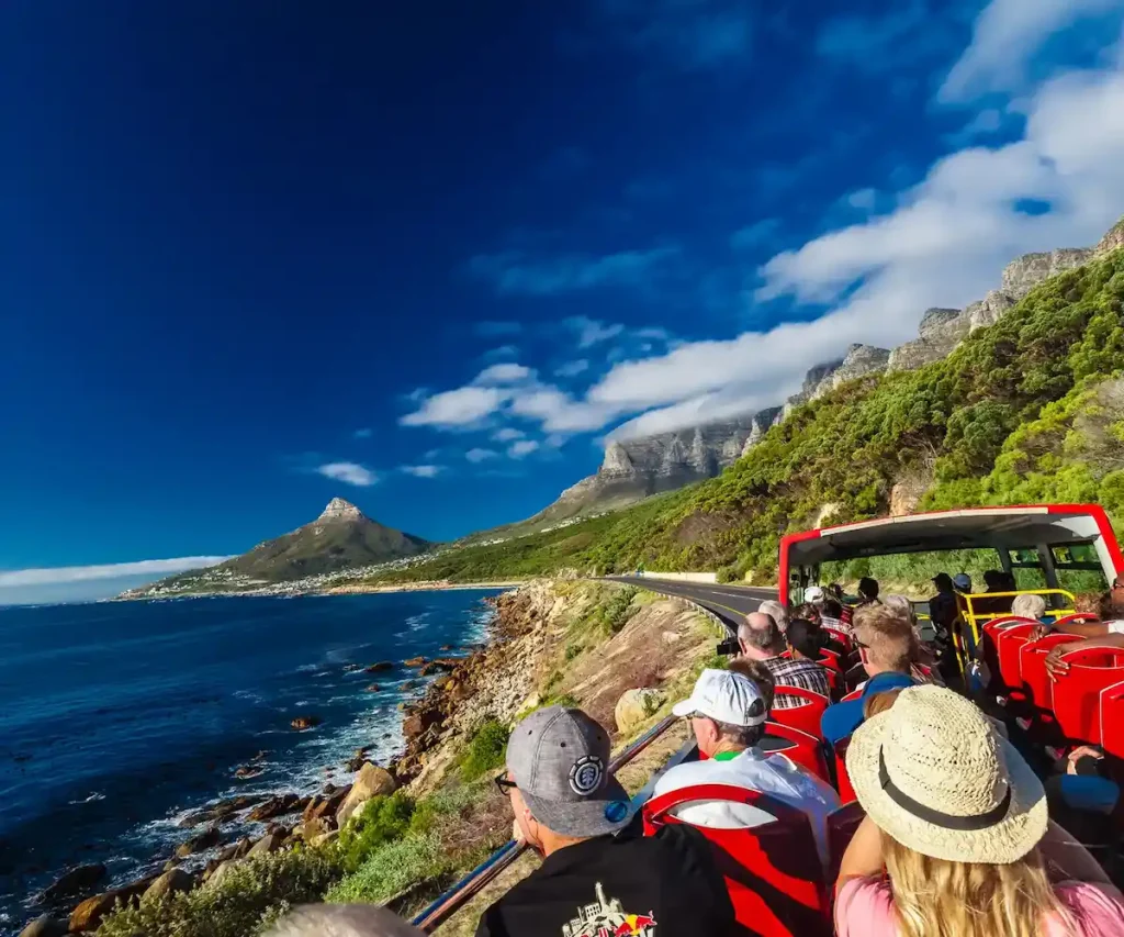 City Sight Seeing Bus Tour - Cape Town Spring Activities