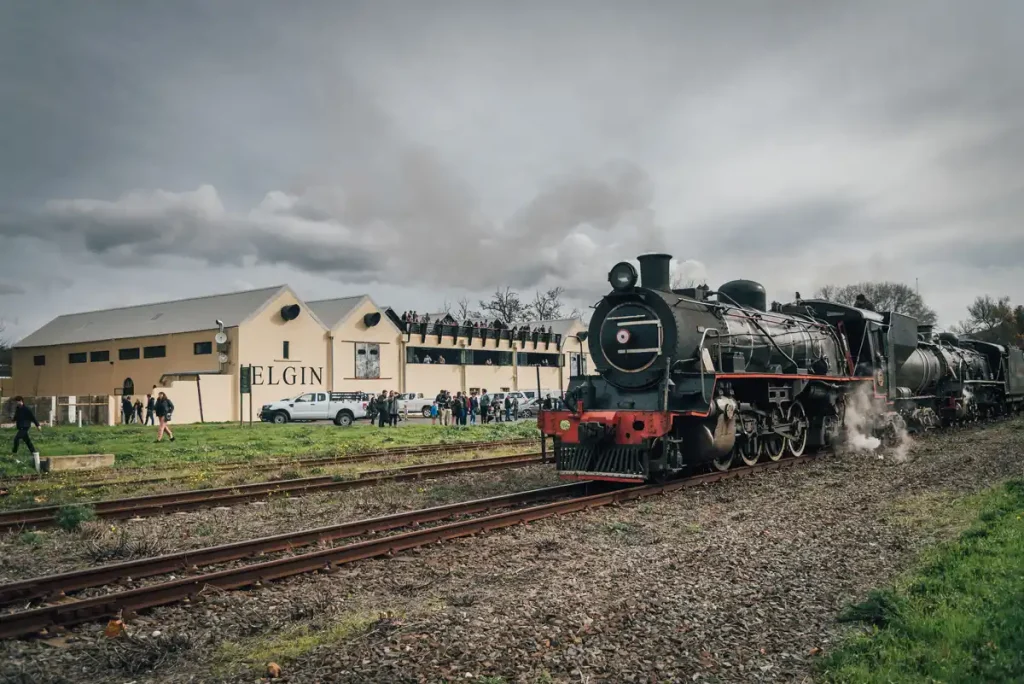 Elgin Steam Train - Spring Day Trips From Cape Town