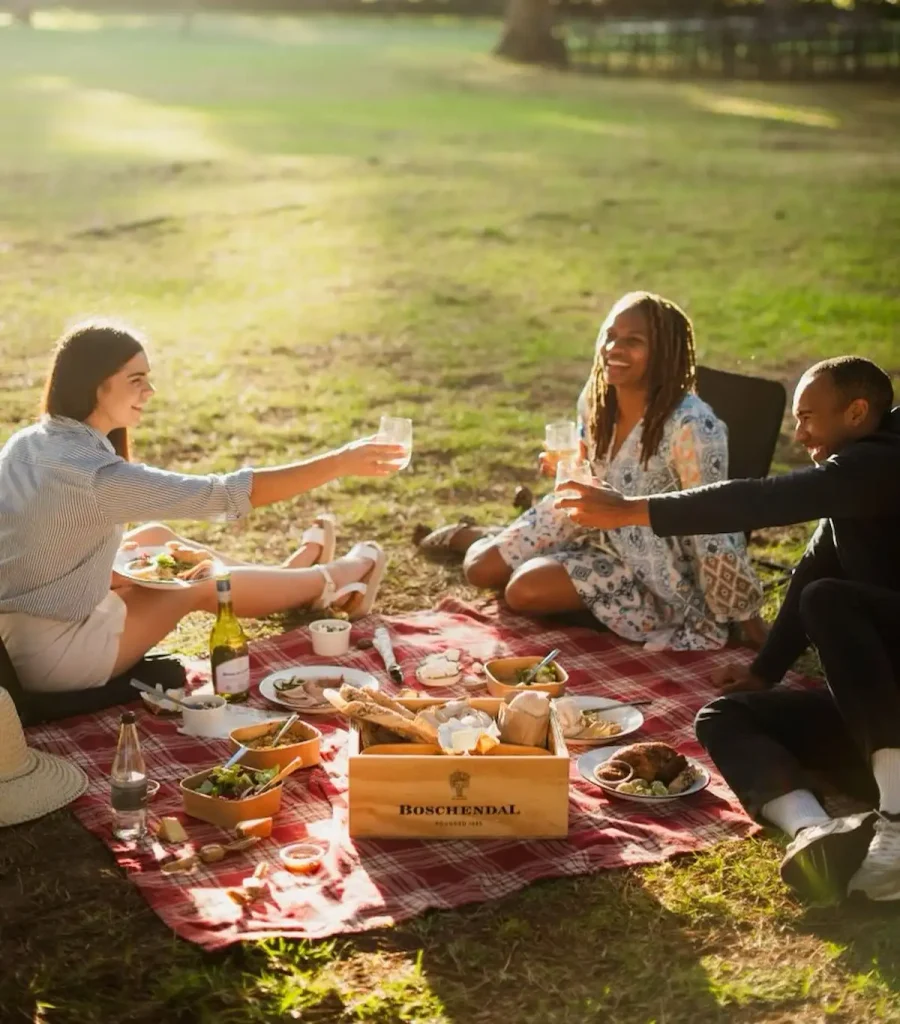 People Enjoying Cape Town Picnic Spots