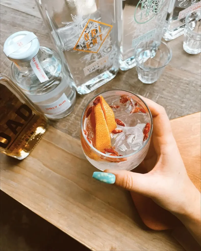 Pienaar & Son Gin - Cape Town Spirit Tasting