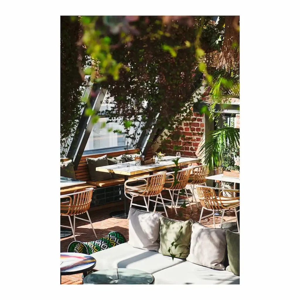 Rooftop Jungle - Cape Town Spring Brunch