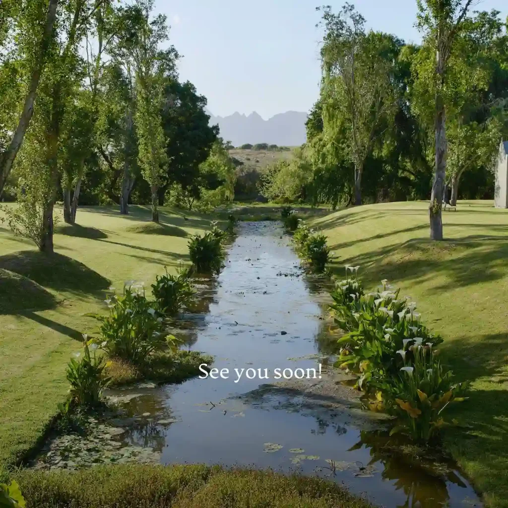 Spier Wine Farm - Top Stellenbosch Wineries
