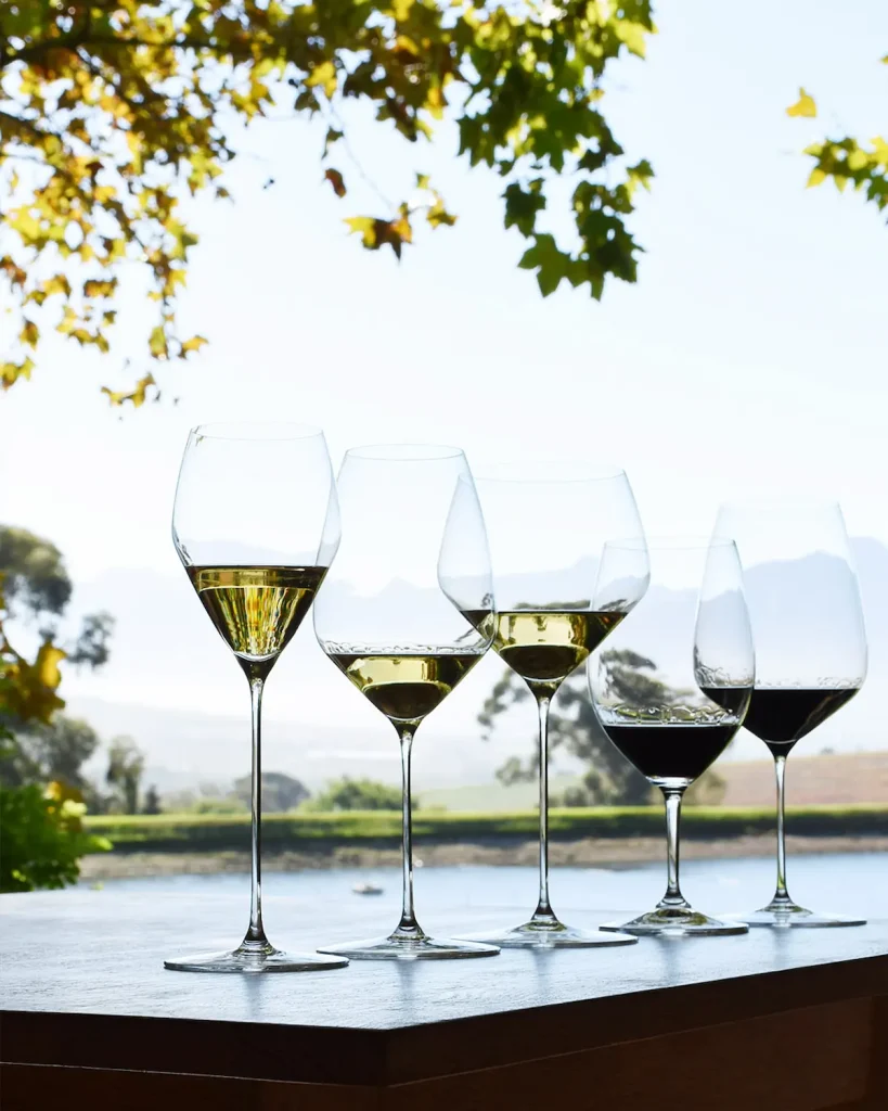 Top Wine Farms - Cape Town