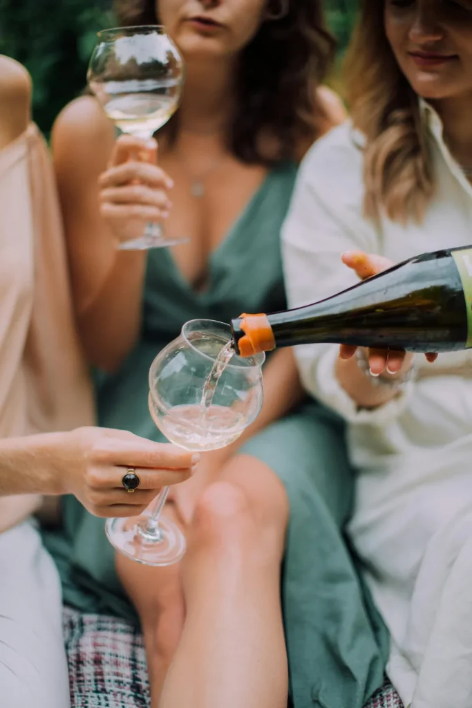 Wine Routes Near Cape Town