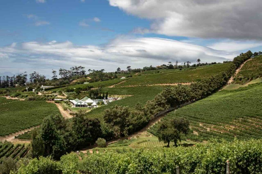 Day 3: Winelands & Gardens