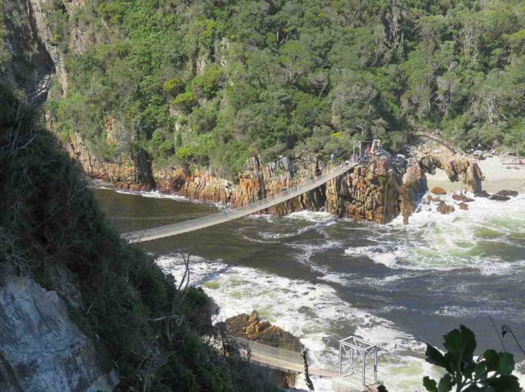 Day 6 – Tsitsikamma: Forest Thrills & Adventure