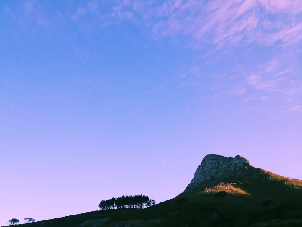 Lion’s Head Trail