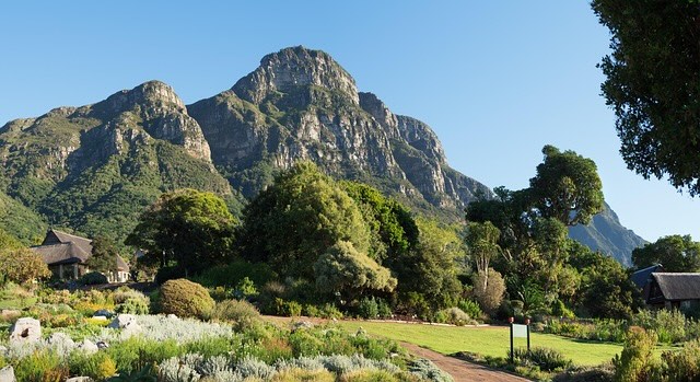 Return via Constantia or the M3