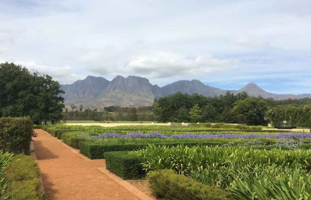 Visit Multiple Wine Estates in One Day. Franschhoek Wine Tram.