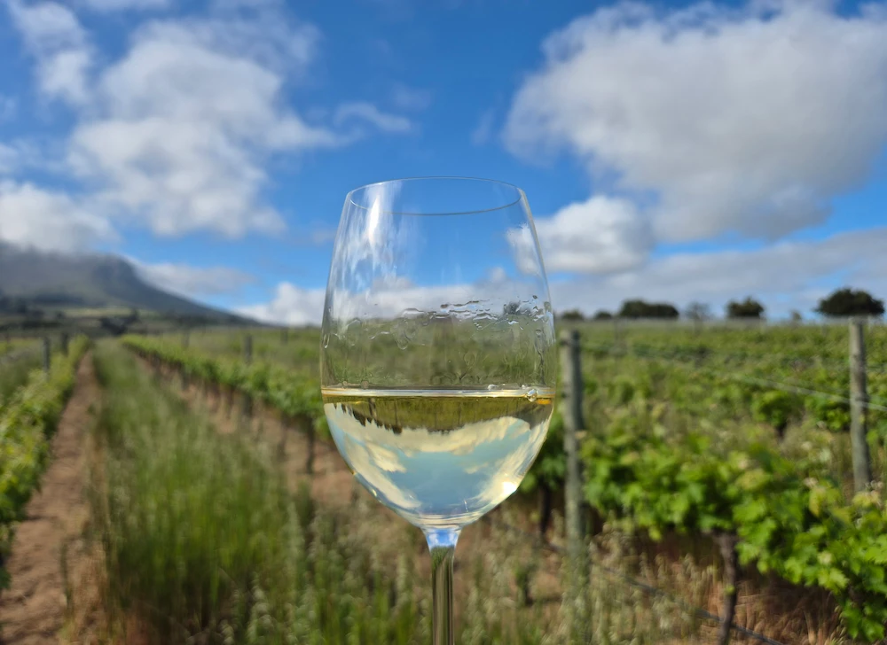 Webersburg Sauvignon Blanc