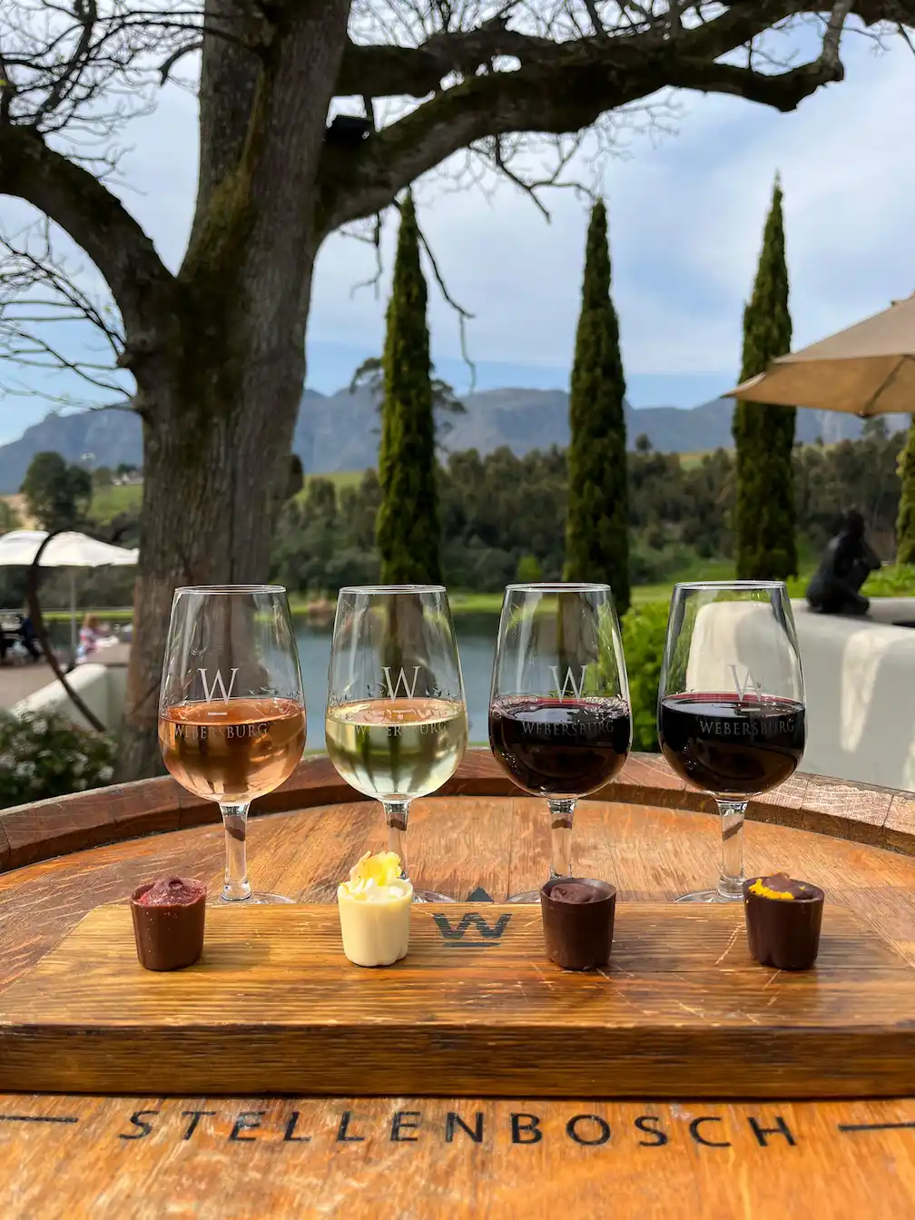 Webersburg Wine Estate Cabernet Sauvignon Vineyard