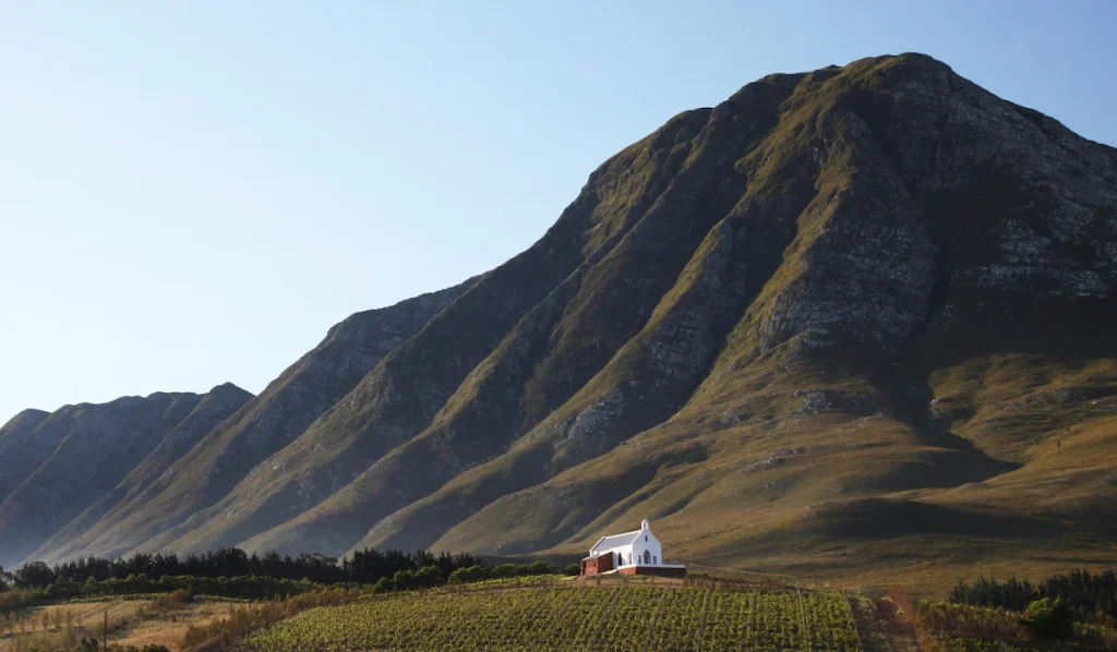 Ataraxia Wine Estate - Best Day Trips From Cape Town