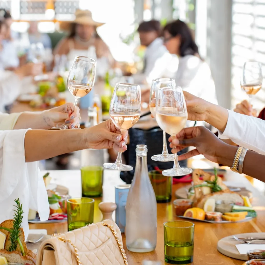Babylonstoren Wine Tasting - Franschhoek Wine Route
