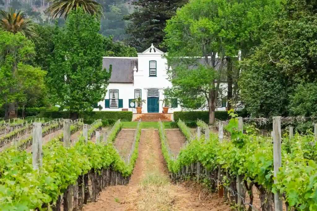 Constantia Wine Route - Cape Town