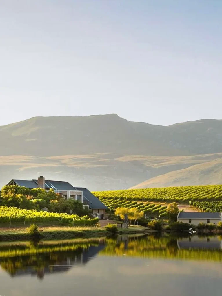 Creation Wines - Hemel en Aarde Valley