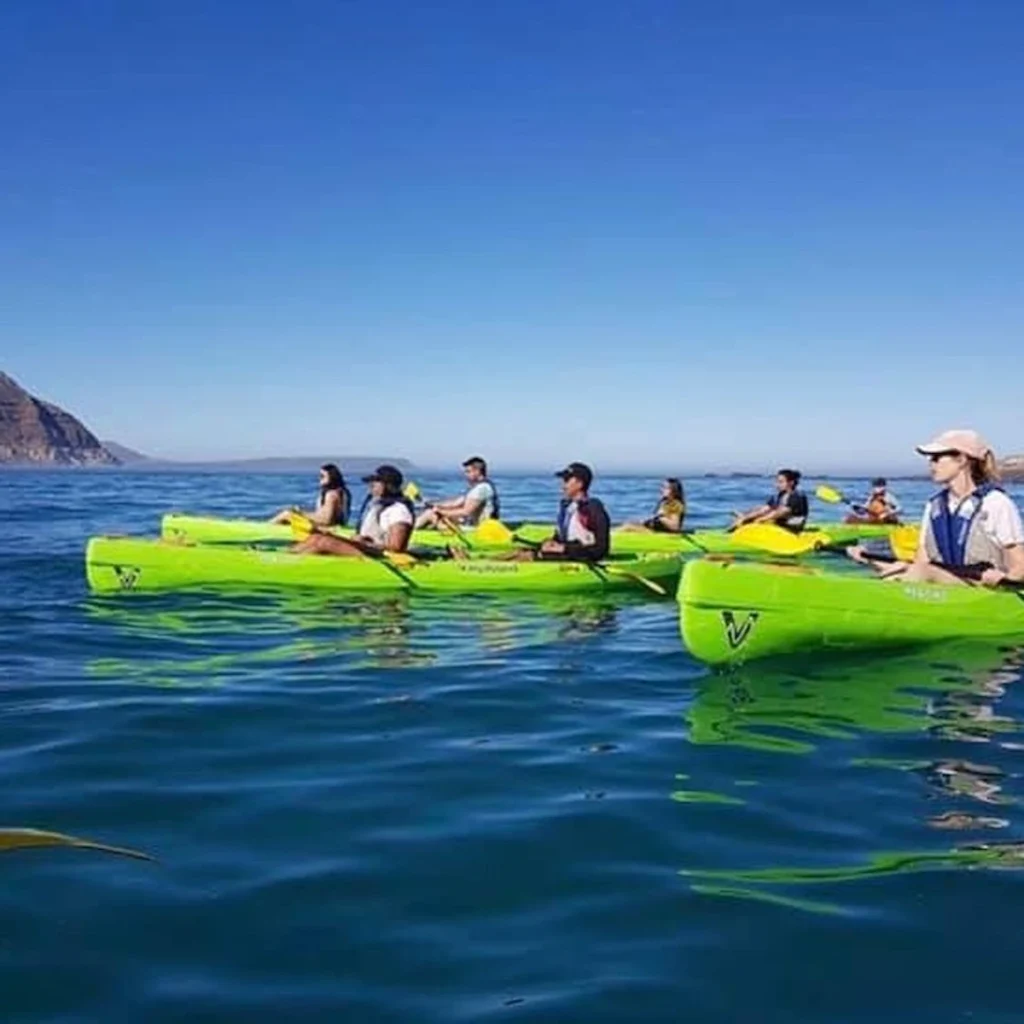Kayaking in Simon's Town - Unique Things To Do in Cape Town