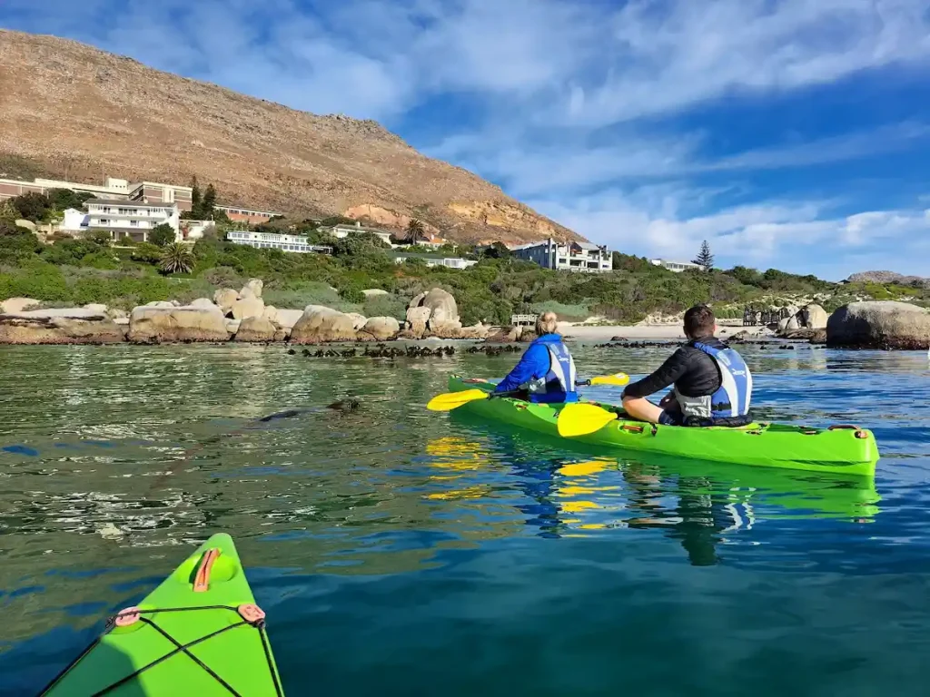 Kayaking with Boulders Beach Penguins - unusual Things To Do in Cape Town