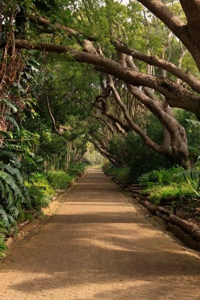 Kirstenbosch Botanical Gardens - Cape Town 7 Day Itinerary