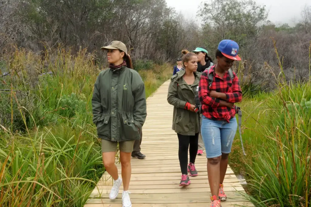 Silvermine Walking Trails - Cape Town Hidden Gems