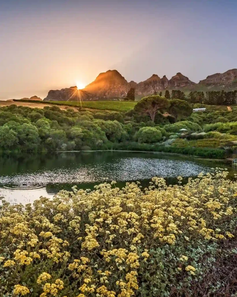 Stellenbosch Wine Region - 3 Days in Cape Town