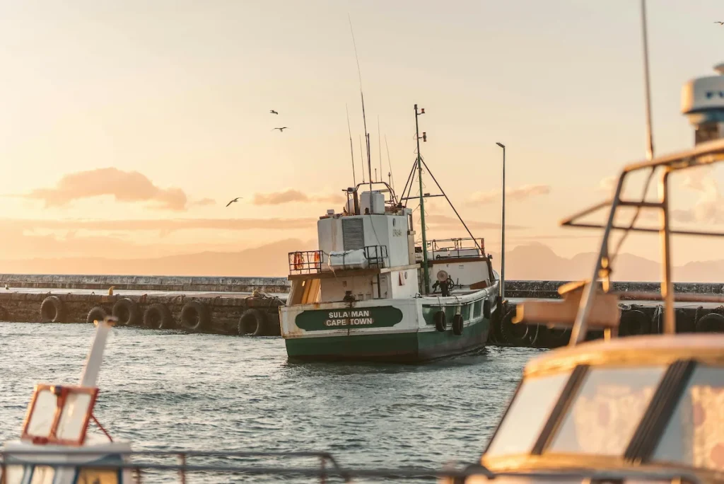 Unusual Things to do in Cape Town