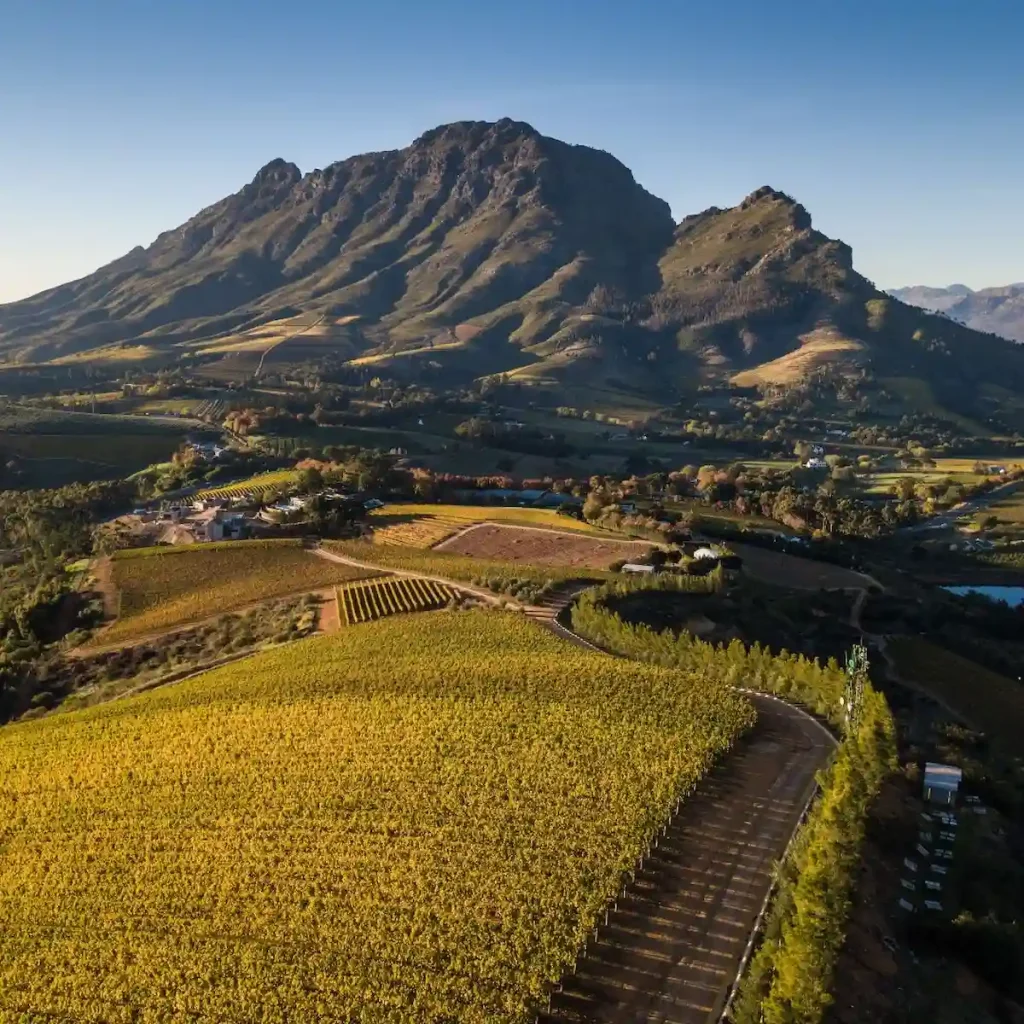 View from Delaire Graff - Stellenbosch Wine Route