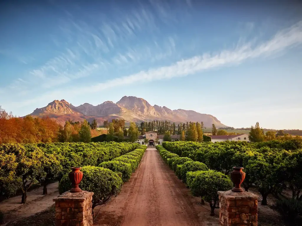 Waterford Wine Estate - 3 Day Cape Town Itinerary