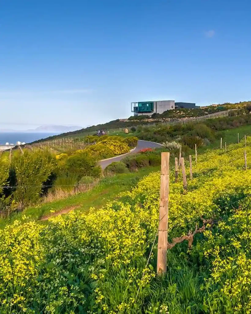 Waterkloof Estate - Cape Town Wine Route