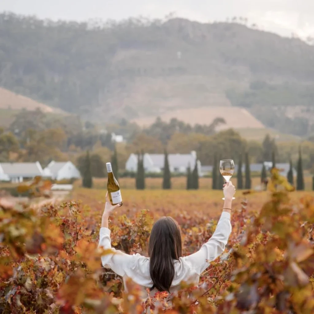 Woman Drinking Wine in the Vineyards - Stellenbosch vs Franschhoek