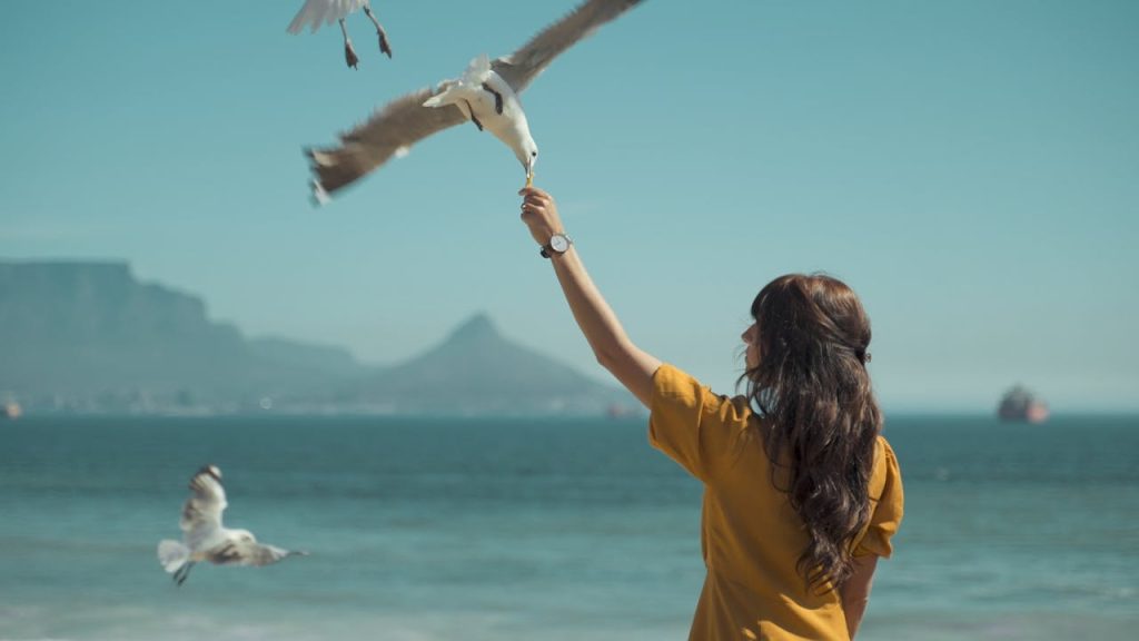 A Photographer’s Paradise. Blouberg Beach for that perfect postcard shot.