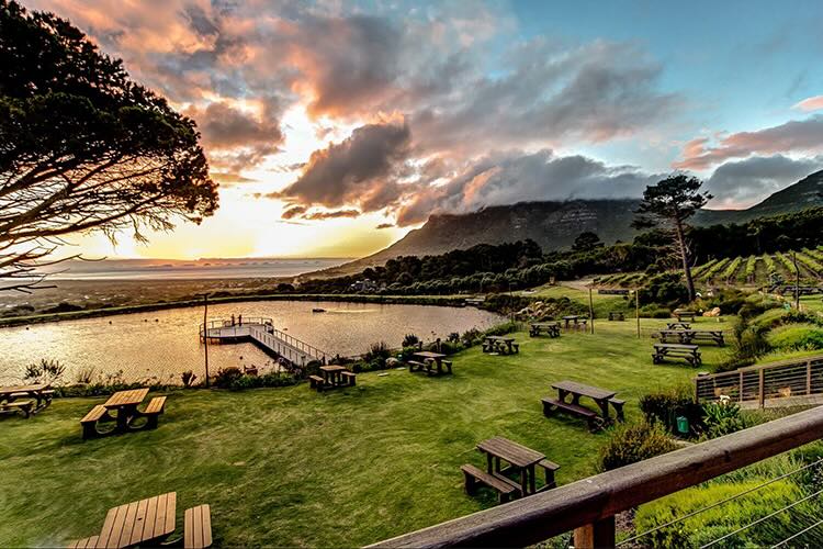 Cape Point Vineyards Market – Sunset Among the Vines