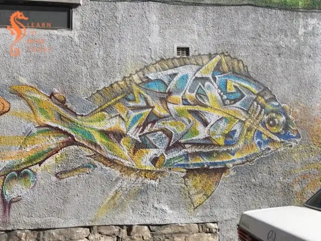 Fish Wall Art - Muizenberg Beach Cape Town 