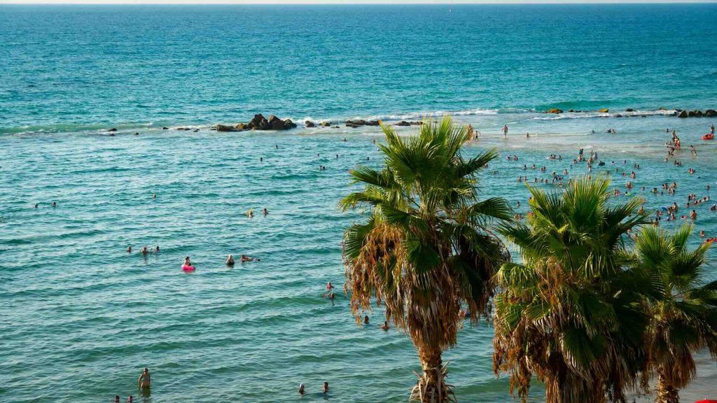 Beach & Water Safety