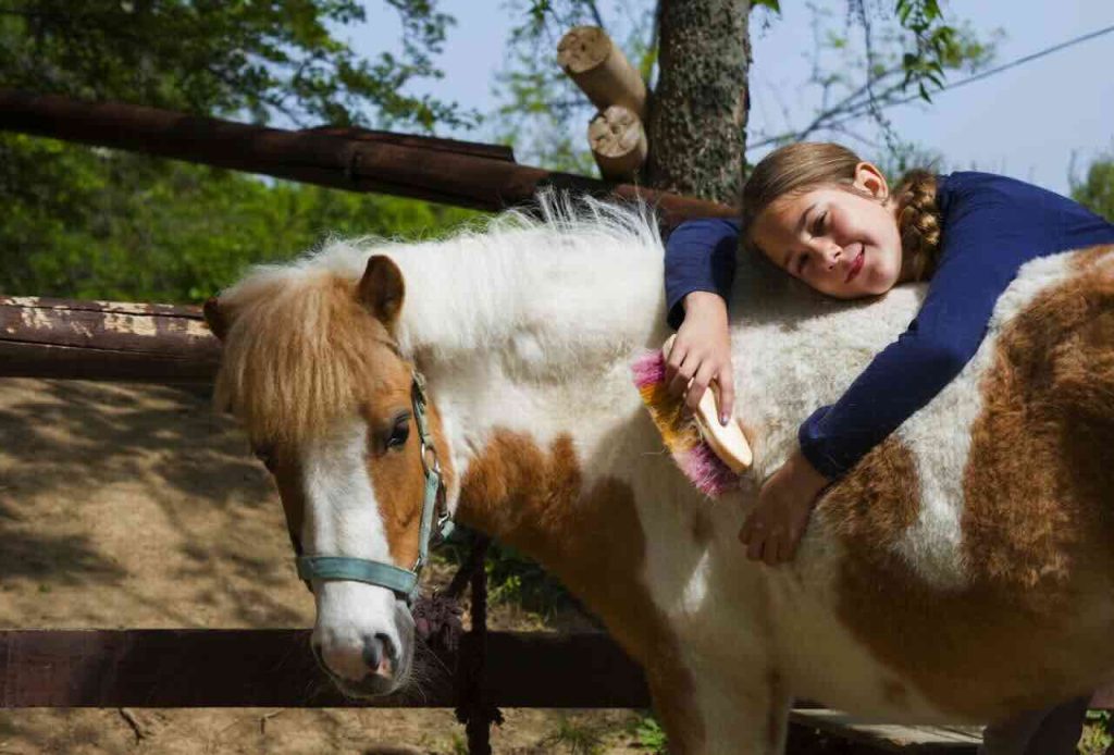 Pony Rides at The Riding Centre