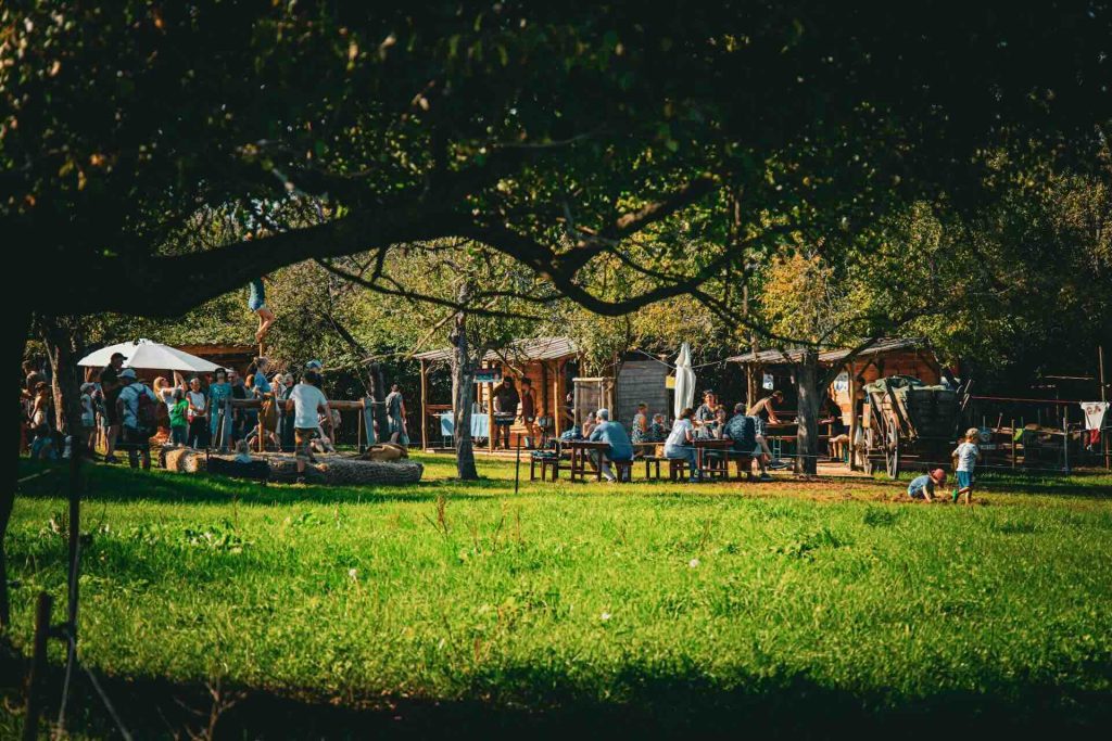 Public Holidays & Festive Break
