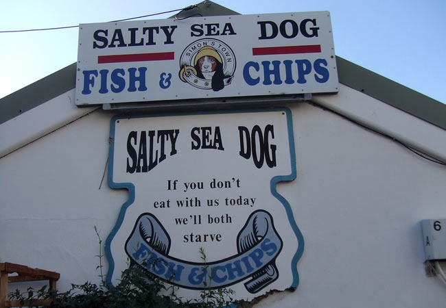 Salty Sea Dog (Simon’s Town)