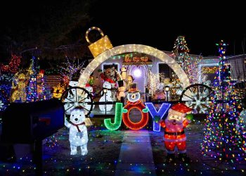 Where to Watch Christmas Lights in Cape Town