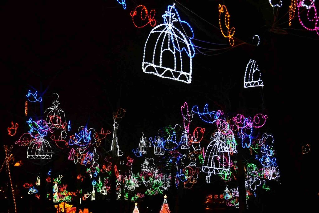 Why Christmas Lights Matter in Cape Town