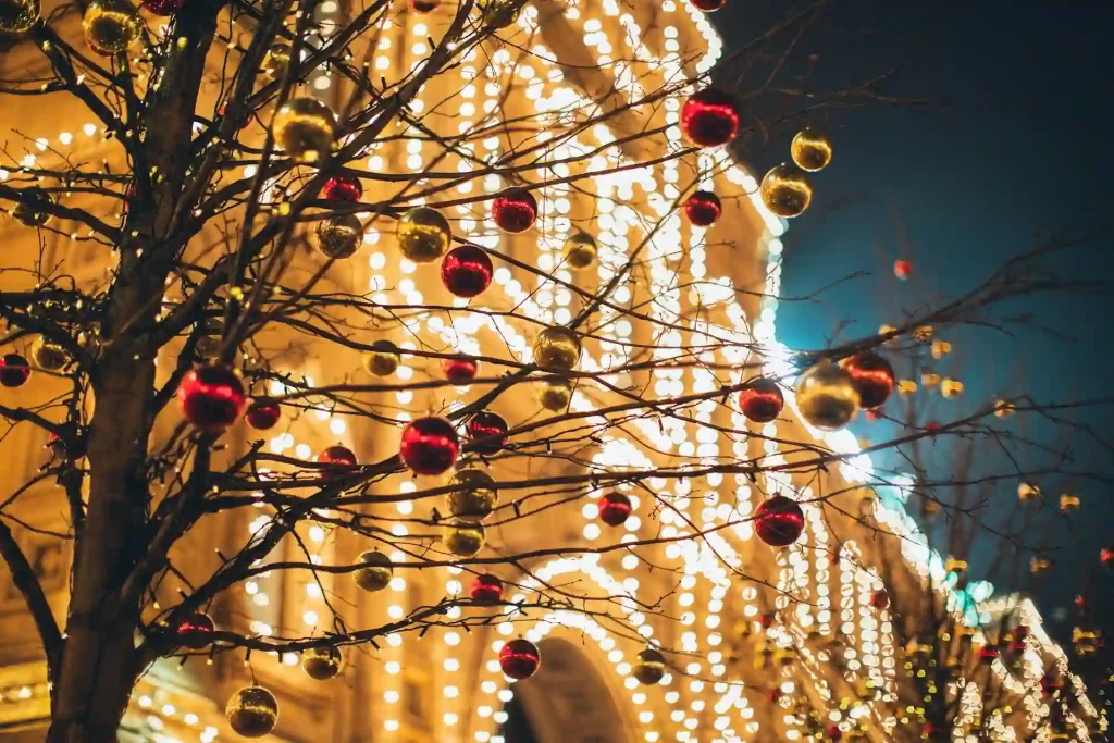 Christmas Lights - Cape Town's Festive Season