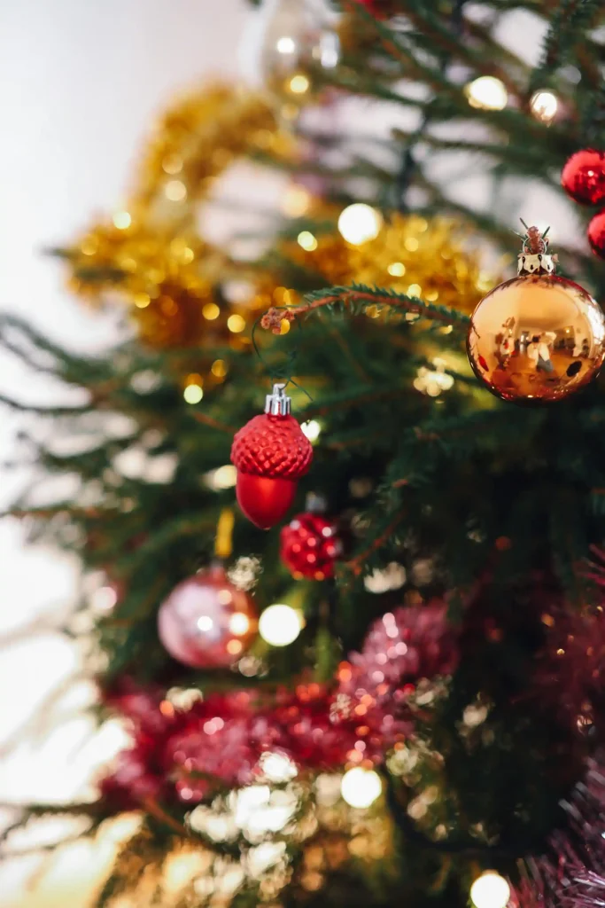 Christmas Tree Decorations - Christmas in Cape Town