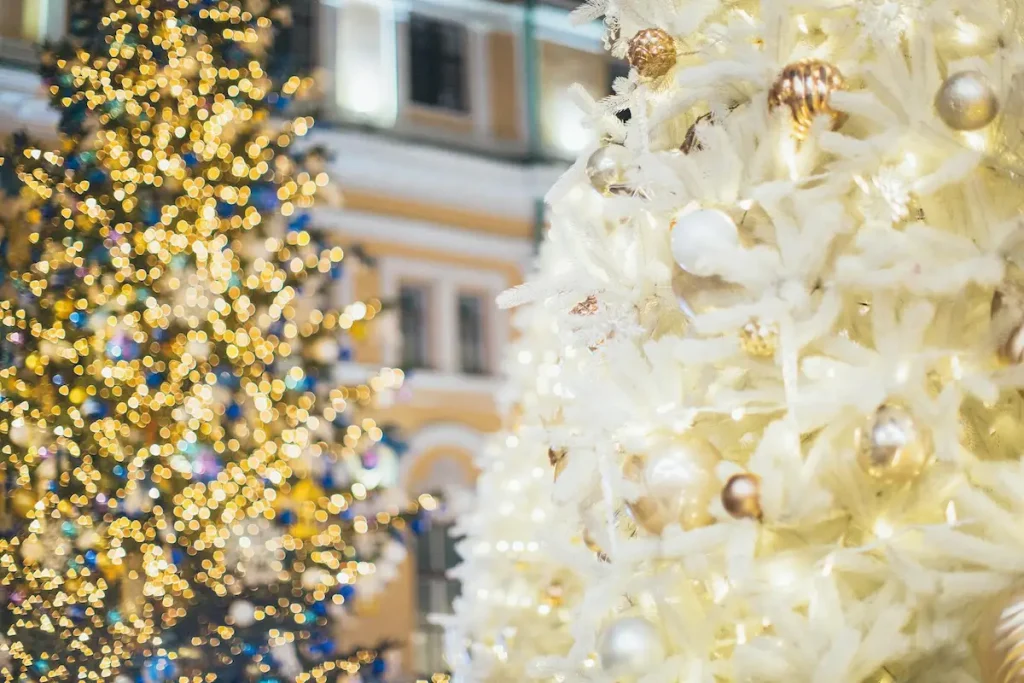 Christmas Trees - Cape Town Christmas Markets 2025