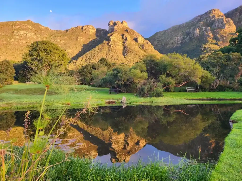 Pond and Mountains - Kirstenbosch Botanical Gardens, Cape Town