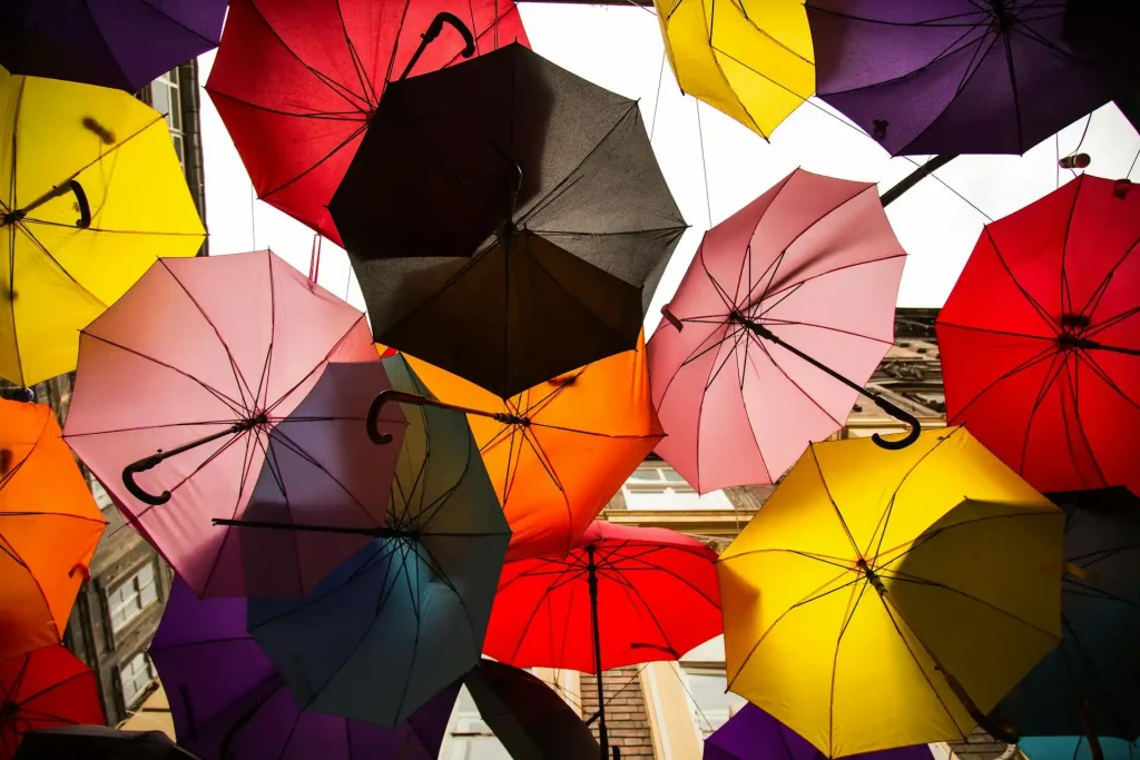 Cape Town on a Rainy Day: Your Plan B Guide