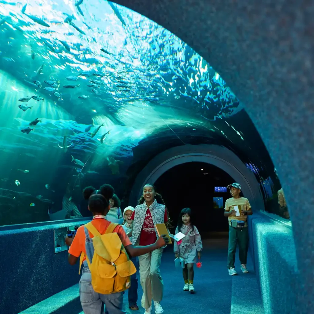 Tunnel at the Aquarium - Avoiding the Crowds in Cape Town this December