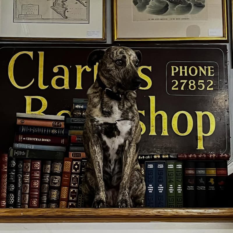Clarke's Bookshop sign