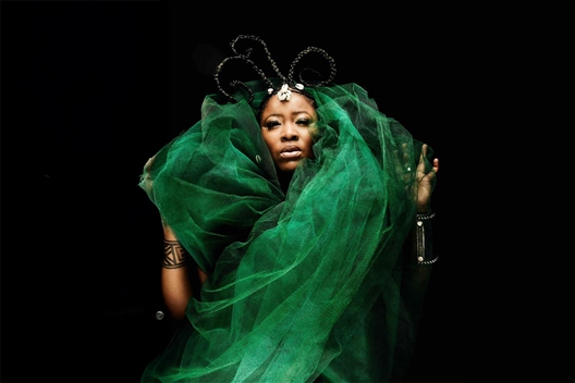 Kirstenbosch Summer Sunset Concerts – Thandiswa Mazwai