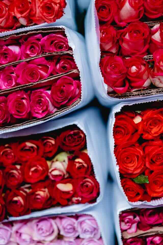 Modern Valentine's Day Traditions