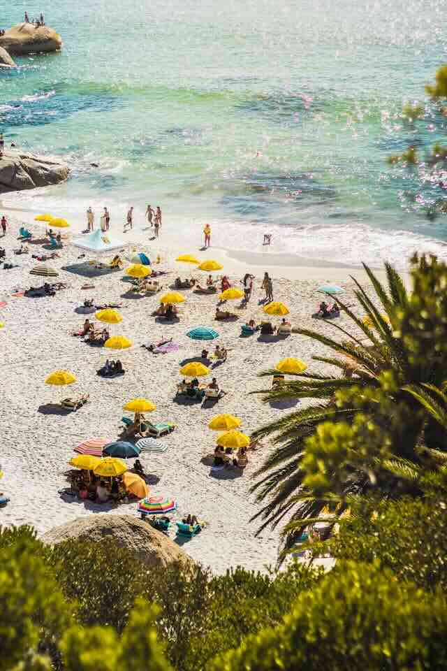 Choose the Right Season - Tour cape town south africa
