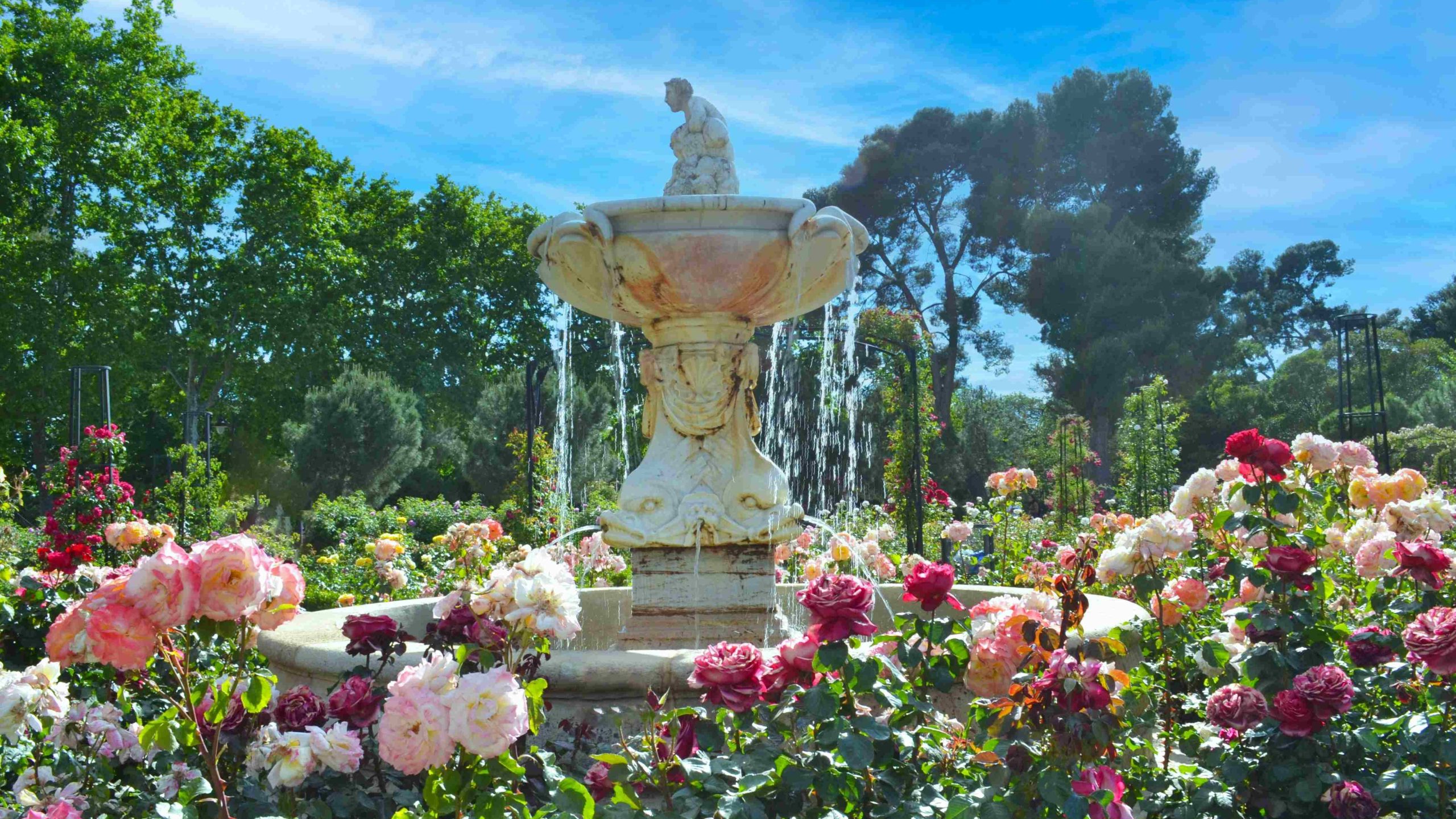 Garden Fountain